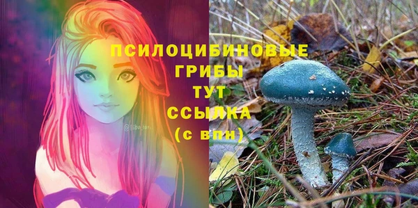 spice Белоозёрский