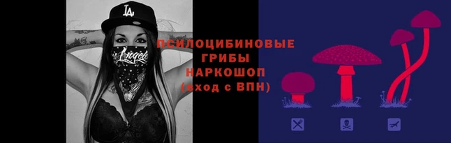 синтетический гашиш Белокуриха