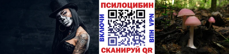Галлюциногенные грибы Cubensis  omg маркетплейс  Шуя  продажа наркотиков 