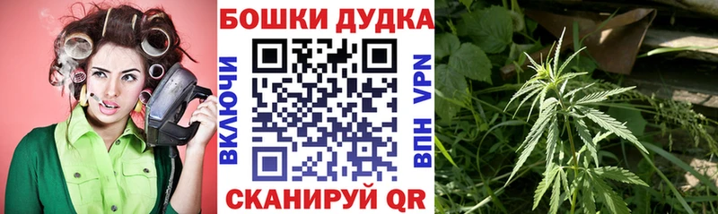 ссылка на мегу маркетплейс  закладка  Шуя  Шишки марихуана THC 21% 